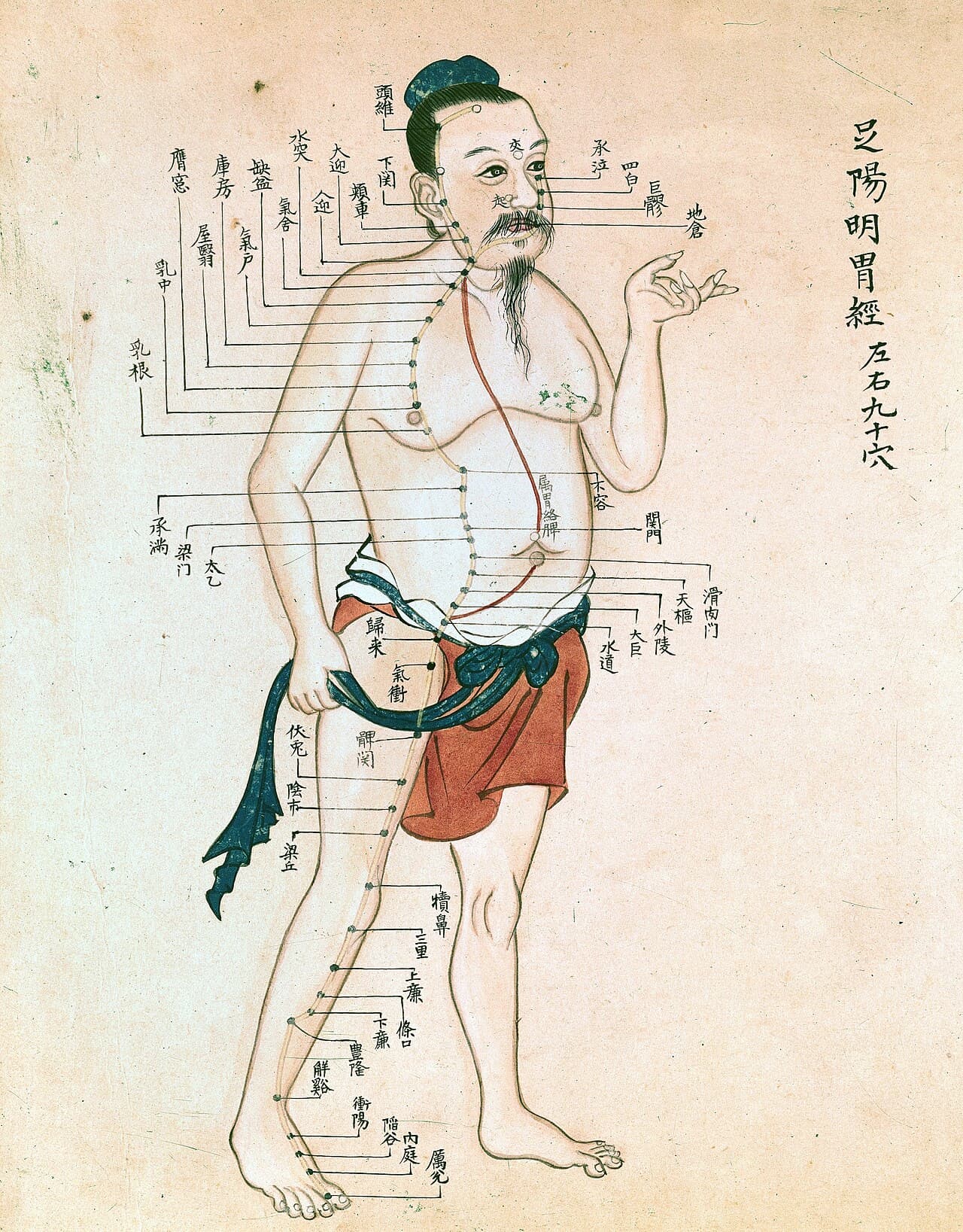 Historical whole-body acupuncture chart with a figure marked by a series of points.